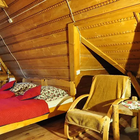 Stella Косцелиско