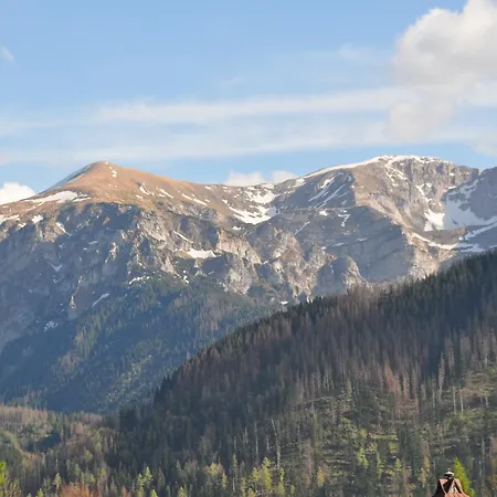 Stella Отель типа 