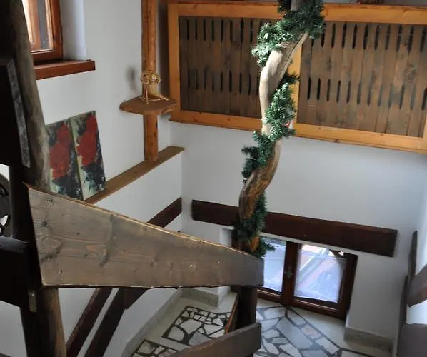 Stella * קושצ'ליסקו